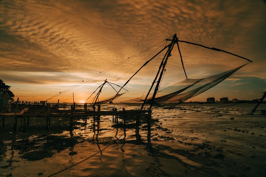 Certificate in photography