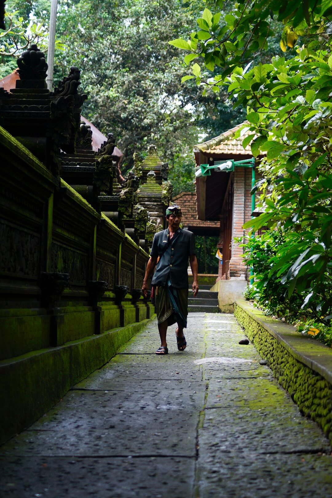 Certificate in photography